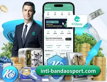 半岛 APP 深度功能