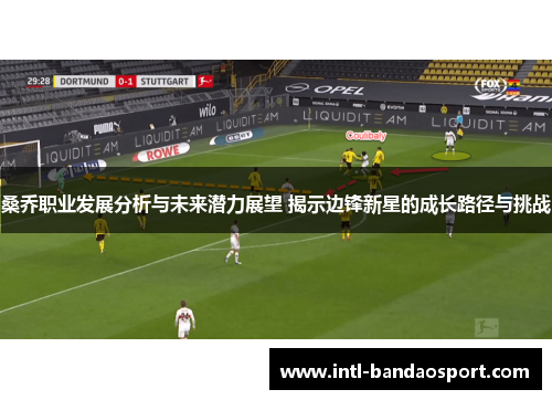 桑乔职业发展分析与未来潜力展望 揭示边锋新星的成长路径与挑战
