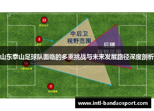 山东泰山足球队面临的多重挑战与未来发展路径深度剖析