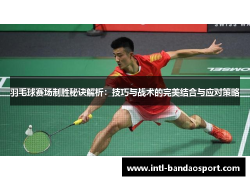 羽毛球赛场制胜秘诀解析：技巧与战术的完美结合与应对策略
