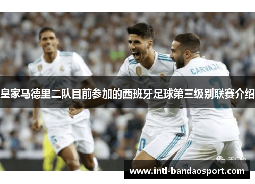皇家马德里二队目前参加的西班牙足球第三级别联赛介绍