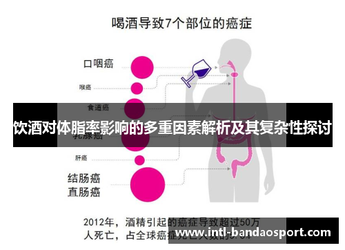饮酒对体脂率影响的多重因素解析及其复杂性探讨