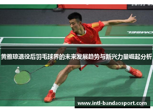 黄雅琼退役后羽毛球界的未来发展趋势与新兴力量崛起分析