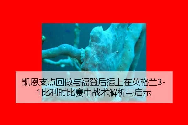凯恩支点回做与福登后插上在英格兰3-1比利时比赛中战术解析与启示